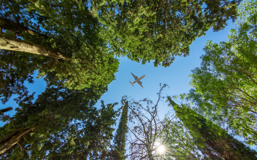 A commercial airliner soars above a forest. New aviation fuels must reduce carbon emissions, an issue of when, not if