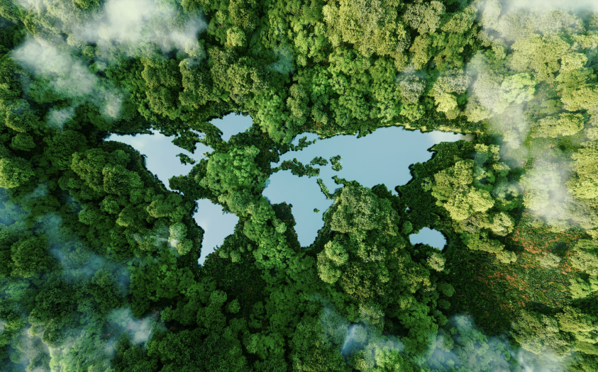 A stylized map of the world created by a forest background that surrounds pools of water shaped like the Earth’s continents.